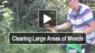 Clearing Large Areas of Weeds
