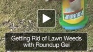 Get Rid of Weeds in Lawn with Roundup Gel