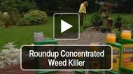 Roundup Concentrated Weed Killer