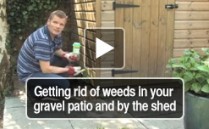 Getting rid of weeds in your Paving patio and by the Garden shed