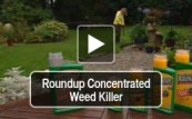 Roundup Concentrated Weed Killer